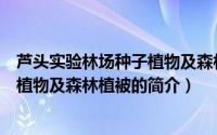 芦头实验林场种子植物及森林植被（关于芦头实验林场种子植物及森林植被的简介）