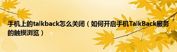 手机上的talkback怎么关闭（如何开启手机TalkBack服务的触摸浏览）