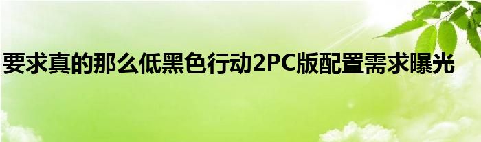 要求真的那么低黑色行动2PC版配置需求曝光