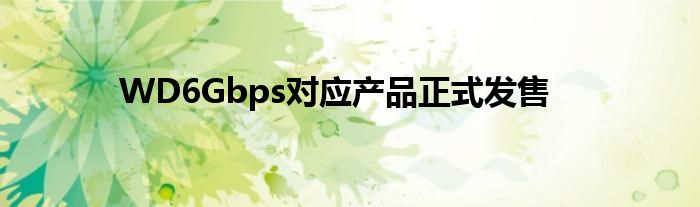 WD6Gbps对应产品正式发售