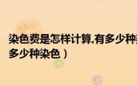 染色费是怎样计算,有多少种染色方式（染色费是怎样计算有多少种染色）