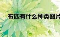 布匹有什么种类图片（布匹有什么种类）
