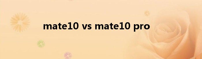 mate10 vs mate10 pro