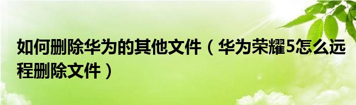 如何删除华为的其他文件（华为荣耀5怎么远程删除文件）