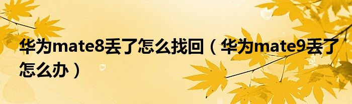 华为mate8丢了怎么找回（华为mate9丢了怎么办）