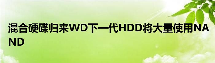 混合硬碟归来WD下一代HDD将大量使用NAND