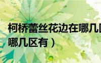 柯桥蕾丝花边在哪几区有卖（柯桥蕾丝花边在哪几区有）