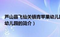 芦山县飞仙关镇青苹果幼儿园（关于芦山县飞仙关镇青苹果幼儿园的简介）