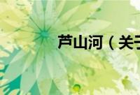 芦山河（关于芦山河的简介）
