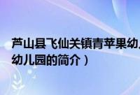 芦山县飞仙关镇青苹果幼儿园（关于芦山县飞仙关镇青苹果幼儿园的简介）