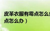 皮革衣服有霉点怎么办小妙招（皮革衣服有霉点怎么办）