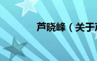 芦晓峰（关于芦晓峰的简介）