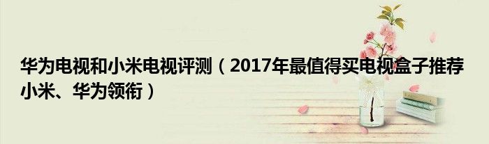 华为电视和小米电视评测（2017年最值得买电视盒子推荐 小米、华为领衔）