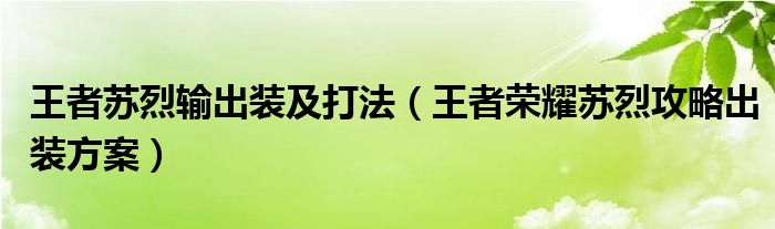 王者苏烈输出装及打法（王者荣耀苏烈攻略出装方案）