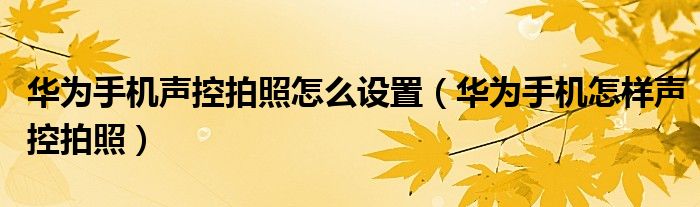 华为手机声控拍照怎么设置（华为手机怎样声控拍照）