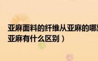 亚麻面料的纤维从亚麻的哪里提取（织锦亚麻是什么面料和亚麻有什么区别）