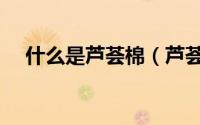什么是芦荟棉（芦荟棉是人工合成的吗）