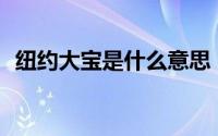 纽约大宝是什么意思（ny代表是什么材质）