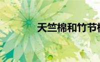 天竺棉和竹节棉有什么区别？