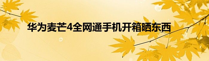 华为麦芒4全网通手机开箱晒东西