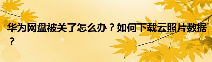 华为网盘被关了怎么办？如何下载云照片数据？