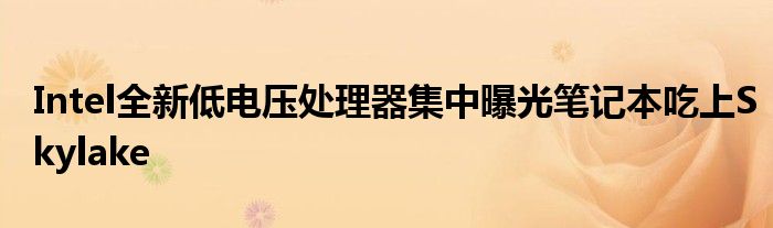 Intel全新低电压处理器集中曝光笔记本吃上Skylake