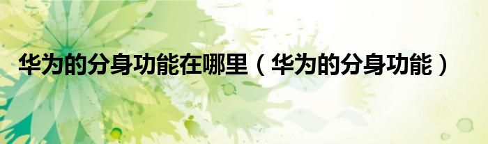 华为的分身功能在哪里（华为的分身功能）