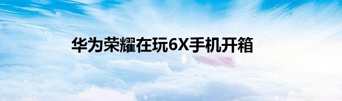 华为荣耀在玩6X手机开箱
