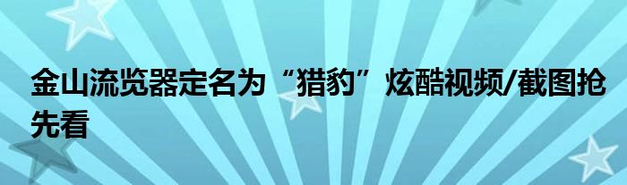 金山流览器定名为“猎豹”炫酷视频/截图抢先看