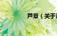 芦章（关于芦章的简介）