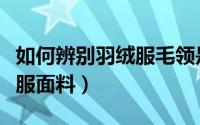 如何辨别羽绒服毛领是什么毛（如何辨别羽绒服面料）
