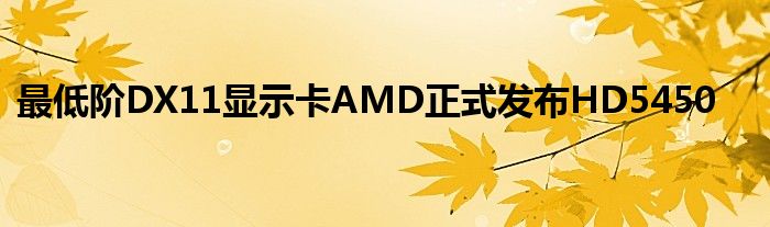 最低阶DX11显示卡AMD正式发布HD5450