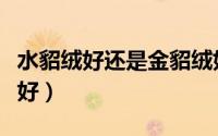水貂绒好还是金貂绒好（水貂绒好还是金雕绒好）