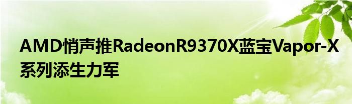 AMD悄声推RadeonR9370X蓝宝Vapor