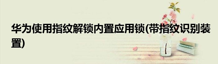 华为使用指纹解锁内置应用锁(带指纹识别装置)