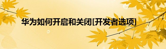 华为如何开启和关闭[开发者选项]