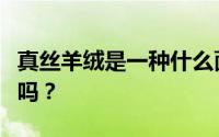 真丝羊绒是一种什么面料？目前是国内生产的吗？