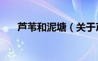 芦苇和泥塘（关于芦苇和泥塘的简介）