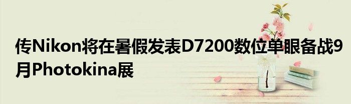  传Nikon将在暑假发表D7200数位单眼备战9月Photokina展