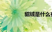 貂绒是什么有什么特点？