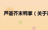 芦荟芥末鸭掌（关于芦荟芥末鸭掌的简介）