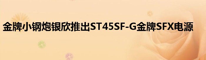 金牌小钢炮银欣推出ST45SF