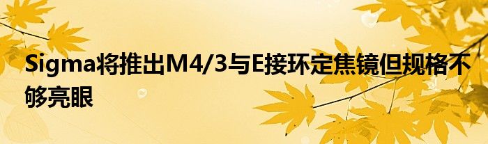Sigma将推出M4/3与E接环定焦镜但规格不够亮眼