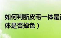 如何判断皮毛一体是否掉色（如何判断皮毛一体是否掉色）