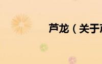 芦龙（关于芦龙的简介）