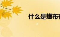 什么是蜡布有什么作用？