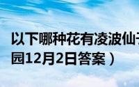 以下哪种花有凌波仙子的美称（支付宝蚂蚁庄园12月2日答案）