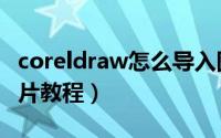 coreldraw怎么导入图片（coreldraw导入图片教程）