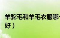 羊驼毛和羊毛衣服哪个贵（羊驼毛和羊毛哪个好）