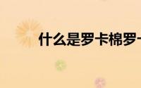 什么是罗卡棉罗卡棉有什么特点？